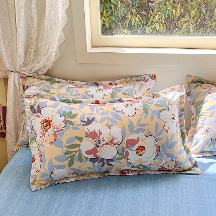 91家纺网 家纺一手货源 找家纺 （总）曼璐家纺 芦荟棉枕套一对拍二单只装