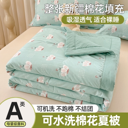 91家纺网 家纺一手货源 找家纺 （总）雪鲨家纺  2025新款A类水洗棉夏被新疆棉花夏凉被空调被可机洗薄被子被芯
