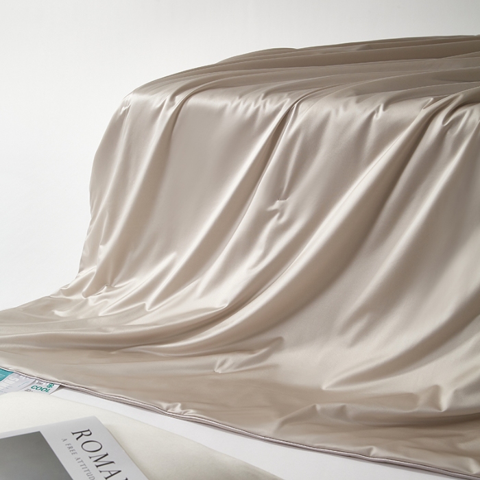 91家纺网 家纺一手货源 找家纺 【2025】锦氨蚕丝夏凉被可水洗可烘干 严格控价请参照执行否则不予供货 灰色