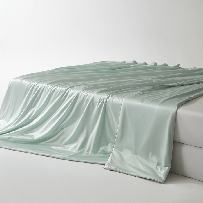 91家纺网 家纺一手货源 找家纺 【2025】锦氨蚕丝夏凉被可水洗可烘干 严格控价请参照执行否则不予供货 兰色