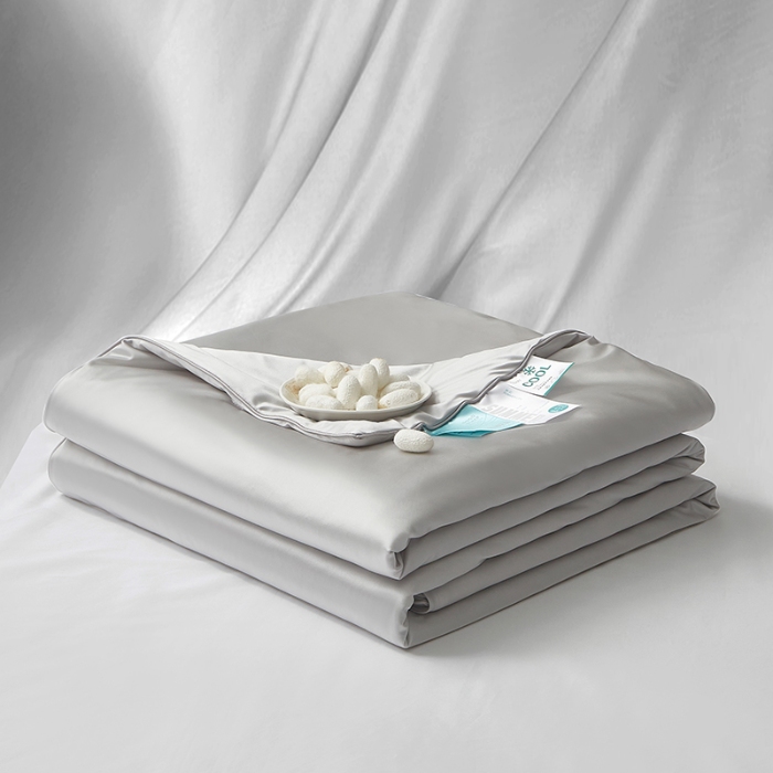 91家纺网 家纺一手货源 找家纺 【2025】锦氨蚕丝夏凉被可水洗可烘干 严格控价请参照执行否则不予供货 银灰