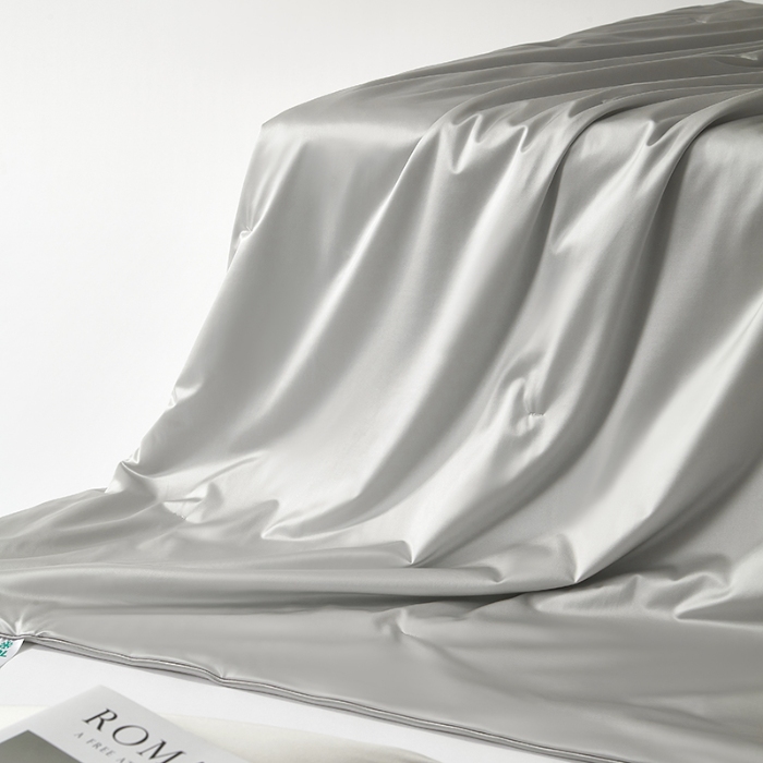 91家纺网 家纺一手货源 找家纺 【2025】锦氨蚕丝夏凉被可水洗可烘干 严格控价请参照执行否则不予供货 银灰