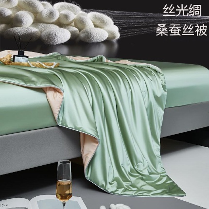 （总）2025年新款蚕丝被纯色简约丝光绸可水洗桑蚕丝夏被被子被芯 桑蚕丝夏被