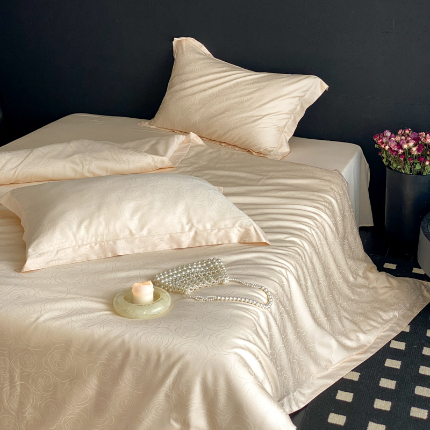 91家纺网 家纺一手货源 找家纺 （总）云栖家居 2025天丝棉提花四件套