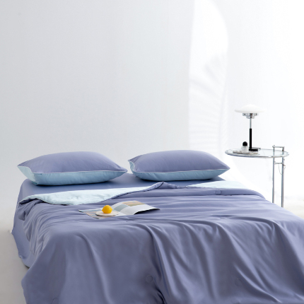 91家纺网 家纺一手货源 找家纺 （总）仁凯家纺 2025新款A类莱赛尔天丝纤维夏凉被双拼色（20%莱赛尔天丝纤维填充，包过检）【提供买家秀】