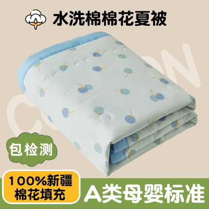 91家纺网 家纺一手货源 找家纺 鑫佰利 2025新款A类水洗棉印花纯棉花夏被子被芯 梦幻树莓