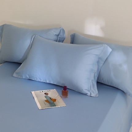 91家纺网 家纺一手货源 找家纺 （总）2025夏季60s兰精天丝四件套单品系列单枕套