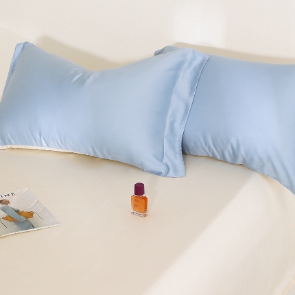 91家纺网 家纺一手货源 找家纺 （总）2025夏季60s兰精天丝四件套单品系列单枕套