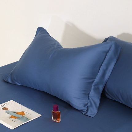 91家纺网 家纺一手货源 找家纺 （总）2025夏季60s兰精天丝四件套单品系列单枕套