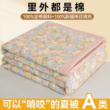 （总）夏凉被200*230 全棉双人空调被夏季纯棉碎花薄被子可水洗