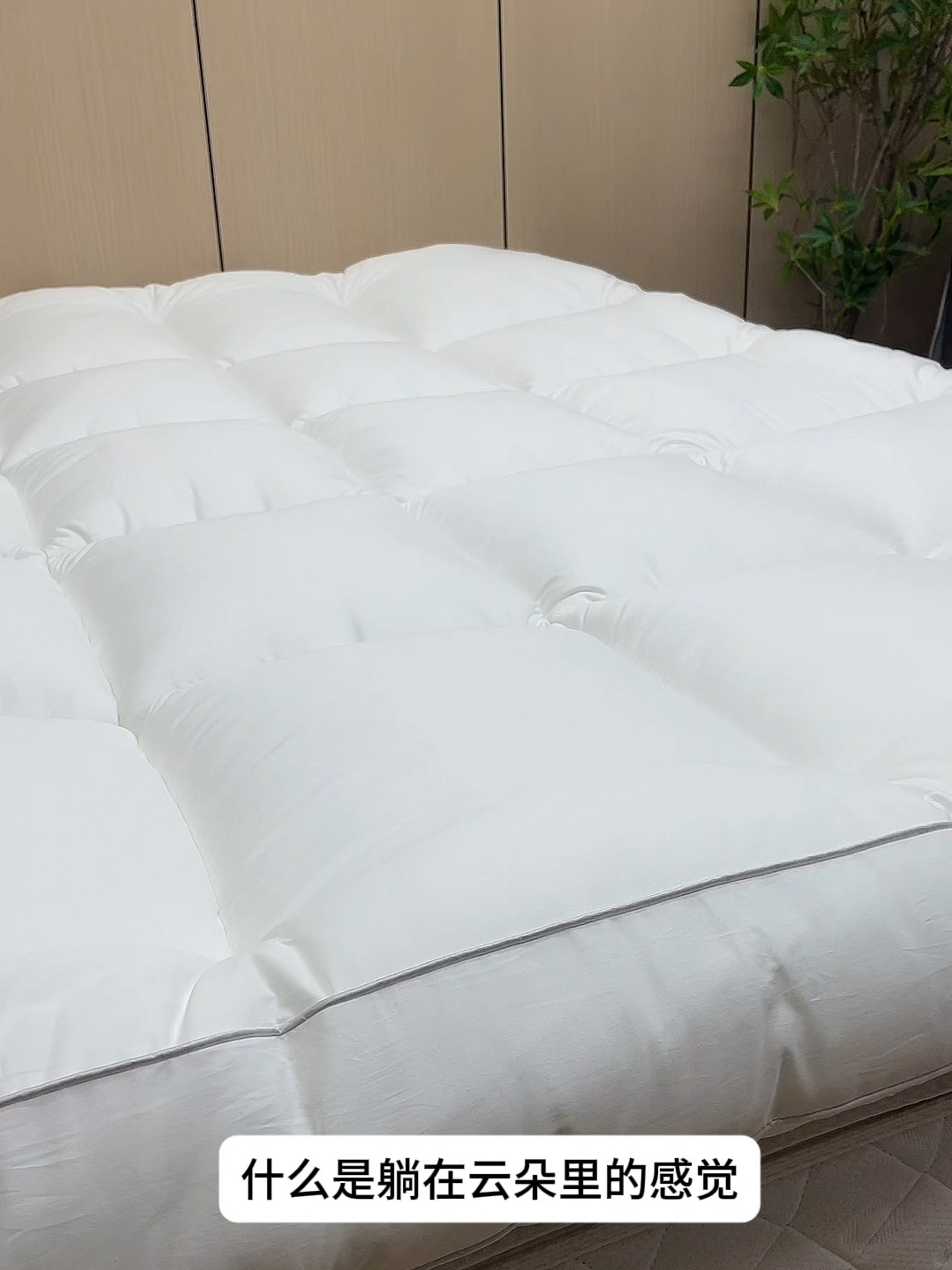 91家纺网 家纺一手货源 找家纺 丽诺床垫 2025新款全棉纯棉防螨软床垫-风格一 全棉软床垫酒店风5cm白色