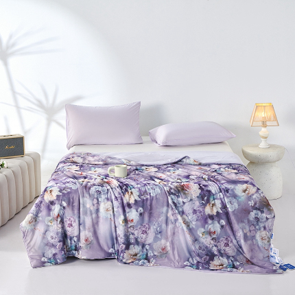 91家纺网 家纺一手货源 找家纺 （总）缔锦家纺 2025新款凉感丝印花夏被