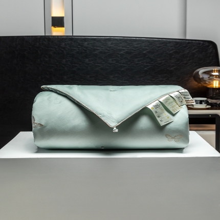 91家纺网 家纺一手货源 找家纺 （总）新国标 桐乡手选桑蚕丝被 正品手工蚕丝被100%桑蚕丝长丝被芯春秋被夏凉被空调被冬被子母被 假一赔三