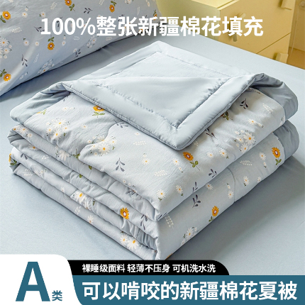 91家纺网 家纺一手货源 找家纺 （总）精选货源 2025新款A类水洗棉新疆棉花夏被被子被芯