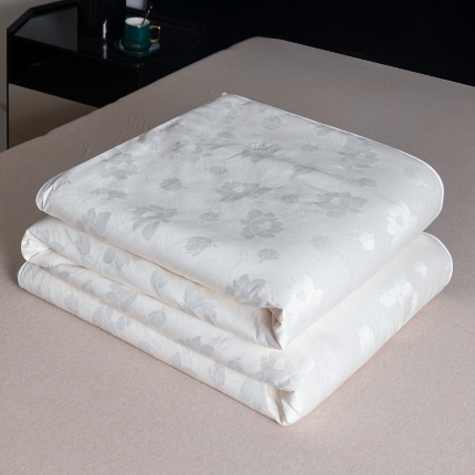 91家纺网 家纺一手货源 找家纺 （总）茧月家纺  2025新款纯蚕丝被 中长丝 国标一等品