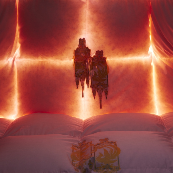 91家纺网 家纺一手货源 找家纺 （总）织梦人羽绒工厂店 2024新款新国标50绒婚庆羽绒被-鸾凤和鸣