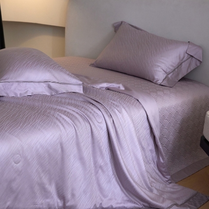 2025春夏新款天丝棉提花夏被夏凉被空调被四件套床盖款 织锦【券后不低于538】 织锦 紫色