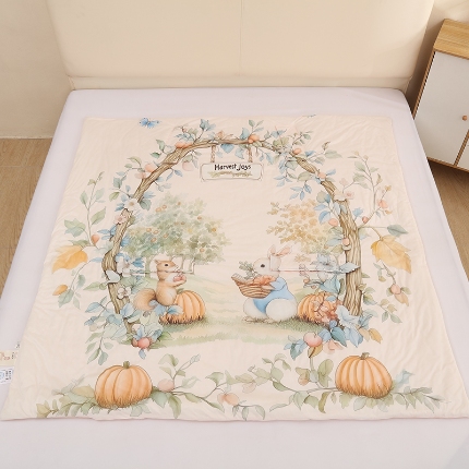 91家纺网 家纺一手货源 找家纺 （总）麦吻儿童薄款a类空调被夏凉被宝宝防踢被神器凉感丝拥抱被护肚