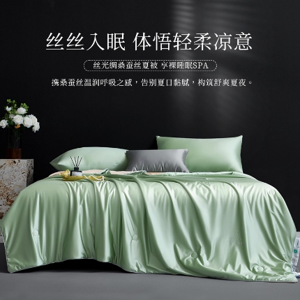 91家纺网 家纺一手货源 找家纺 （总）2025年新款蚕丝被纯色简约丝光绸可水洗桑蚕丝夏被被子被芯 桑蚕丝夏被,灰色,金色,蓝拼灰,绿色,玉色,纸盒