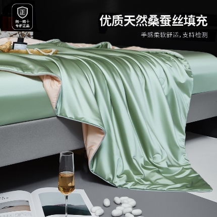 91家纺网 家纺一手货源 找家纺 （总）2025年新款蚕丝被纯色简约丝光绸可水洗桑蚕丝夏被被子被芯 桑蚕丝夏被