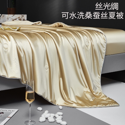 91家纺网 家纺一手货源 找家纺 （总）2025年新款蚕丝被纯色简约丝光绸可水洗桑蚕丝夏被被子被芯 桑蚕丝夏被