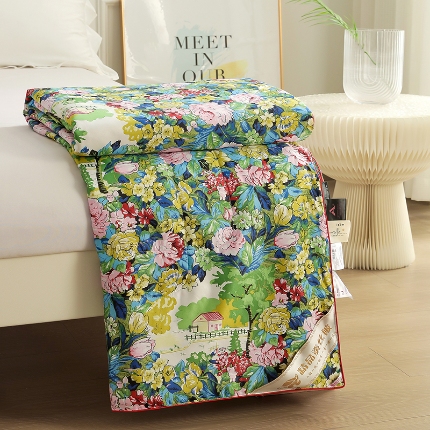 91家纺网 家纺一手货源 找家纺 （总）莉雅居 2025新款直播爆款天丝绸印花子被芯春秋冬被