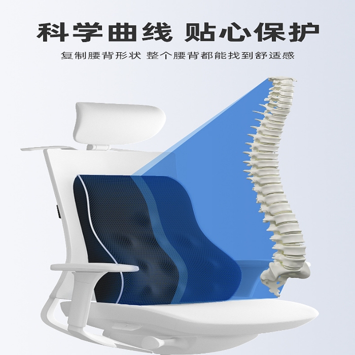 91家纺网 家纺一手货源 找家纺 （总）芯丝路枕业 2025新款记忆棉零压力护腰腰靠坐垫