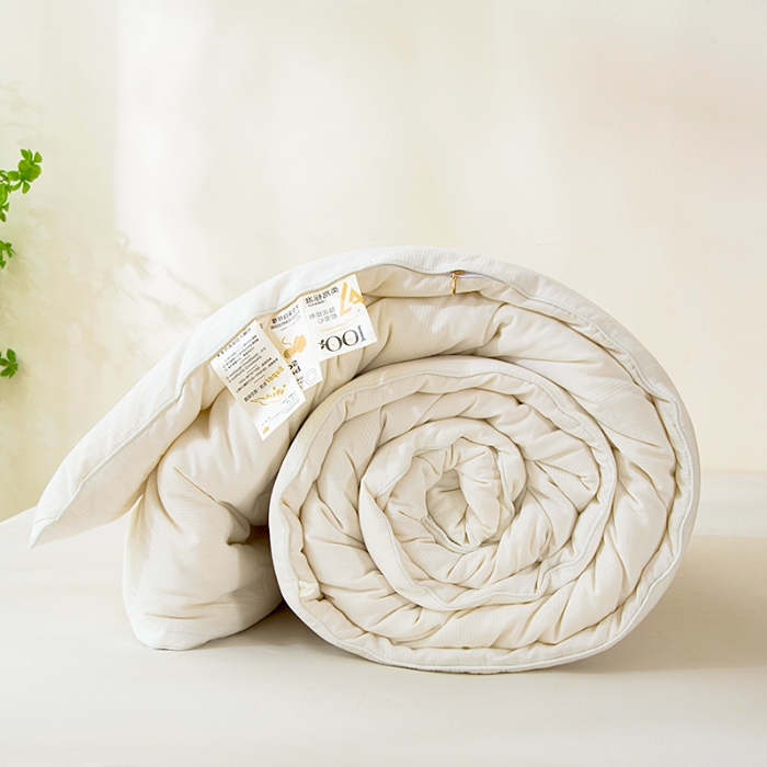 91家纺网 家纺一手货源 找家纺 （总）2025新款纯棉全棉50%大豆纤维被子被芯夏凉被空调被春秋被冬被棉被四季被