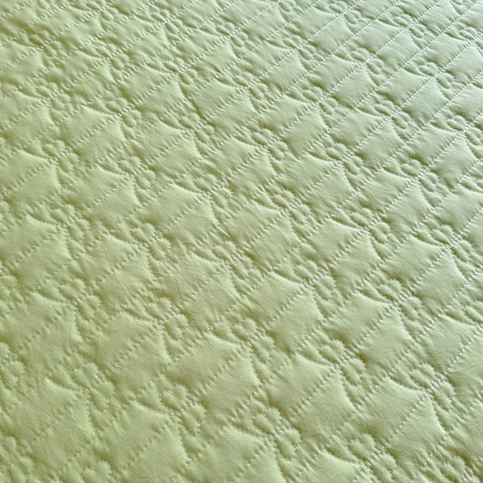 91家纺网 家纺一手货源 找家纺 漫布云家纺2025春夏新品韩版甜美公主风超柔水洗棉床盖四件套刺绣针织棉双层纱纯棉棉麻全棉少女心夹棉床裙款夏被款床盖四件套 幻蝶-嫩芽绿