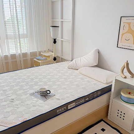 MOA床垫 2025最新款加厚海绵床垫卧室软垫乳胶床垫学生宿舍记忆棉床垫 凌云（白）厚9.5cm