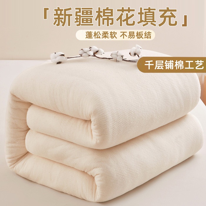 91家纺网 家纺一手货源 找家纺 （总）爱屋及屋2025新款鱼鳞网新疆棉花被芯被子冬被春秋被四季通用学生宿舍