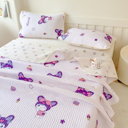 2025新款跑量款水洗棉床盖印花卡通学生床盖夹棉床褥-四季款