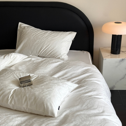 （总）2025新款秋冬款100S长绒棉提花系列四件套-月光拿铁 （标准会员-20元）