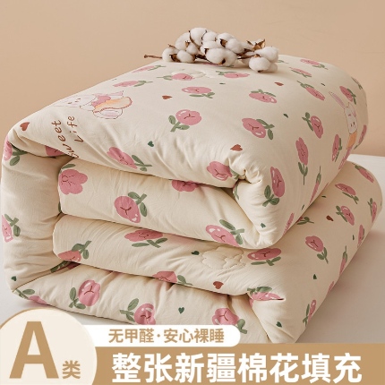 91家纺网 家纺一手货源 找家纺 （总）爱屋及屋 2025新款小清新棉花被春秋被夏被被子被芯