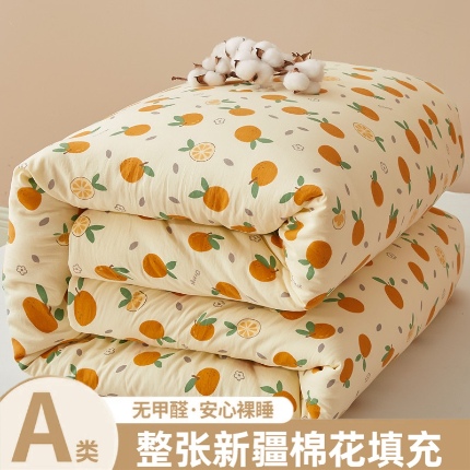 91家纺网 家纺一手货源 找家纺 （总）爱屋及屋 2025新款小清新棉花被春秋被夏被被子被芯