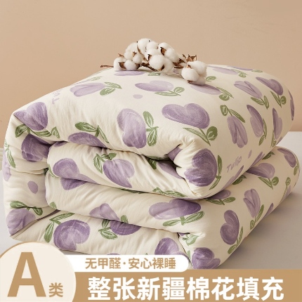 91家纺网 家纺一手货源 找家纺 （总）爱屋及屋 2025新款小清新棉花被春秋被夏被被子被芯