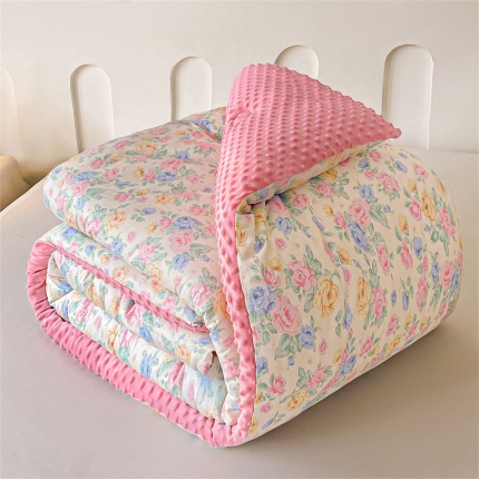 91家纺网 家纺一手货源 找家纺 （总）小石头家纺 2025新款A类全棉纯棉印花豆豆绒大豆被冬被春秋被被子被芯