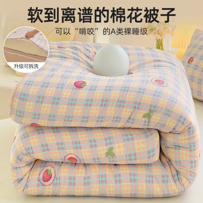 91家纺网 家纺一手货源 找家纺 （总）2025新款双层纱可拆洗棉花被
