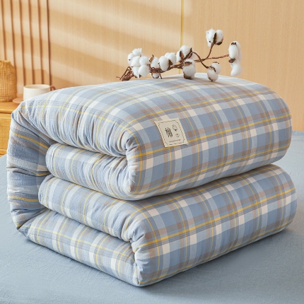 （總）愛屋及屋 2025新款水洗棉可拆洗棉花被被子被芯