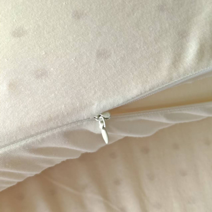 91家纺网 家纺一手货源 找家纺 （总）开学季学生床垫泰国进口天然乳胶床垫礼品装。（针织全棉外套加全棉纱布内衬）建议零售价899