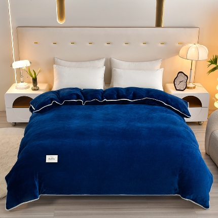 91家纺网 家纺一手货源 找家纺 （总）梦之星 2025款220克加厚纯色印花牛奶绒法莱绒单被套