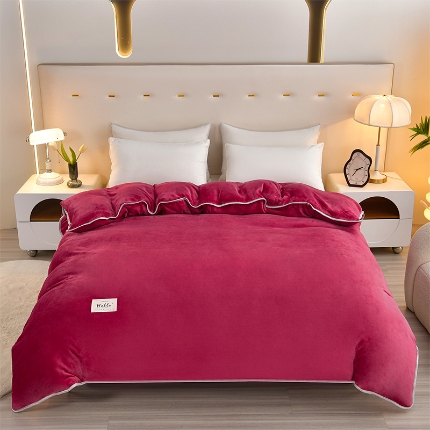 91家纺网 家纺一手货源 找家纺 （总）梦之星 2025款220克加厚纯色印花牛奶绒法莱绒单被套