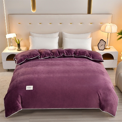 91家纺网 家纺一手货源 找家纺 （总）梦之星 2025款220克加厚纯色印花牛奶绒法莱绒单被套