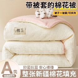 91家纺网 家纺一手货源 找家纺 （总）好睡棉 2025新款华夫格可拆洗新疆棉花被冬被春秋被夏被四季被子被芯,麦田绿,玫瑰粉,梦幻蓝,迷雾灰,奶白玉,香芋紫