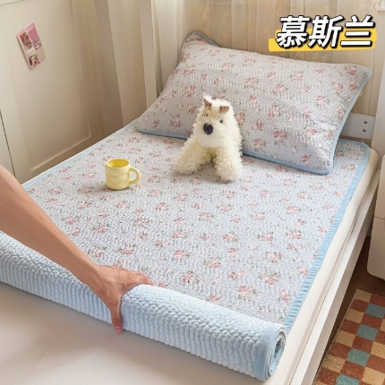 91家纺网 家纺一手货源 找家纺 （总）全棉加绒床盖宿舍学生床单单件冬季加厚双面可用牛奶绒纯棉榻榻米