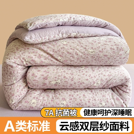 91家纺网 家纺一手货源 找家纺 （总）小石头家纺 2025新款双层纱抗菌被被子被芯冬被春秋被