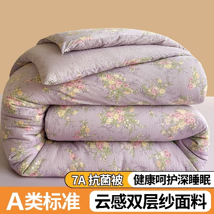 91家纺网 家纺一手货源 找家纺 （总）小石头家纺 2025新款双层纱抗菌被被子被芯冬被春秋被