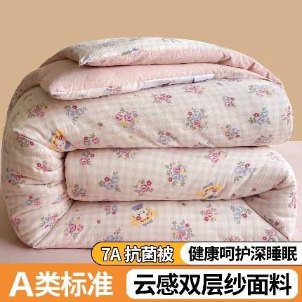 91家纺网 家纺一手货源 找家纺 （总）小石头家纺 2025新款双层纱抗菌被被子被芯冬被春秋被