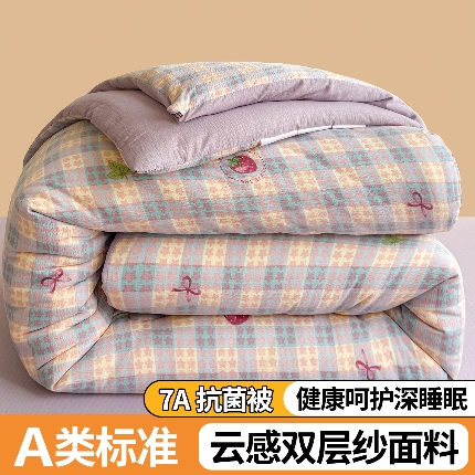91家纺网 家纺一手货源 找家纺 （总）小石头家纺 2025新款双层纱抗菌被被子被芯冬被春秋被