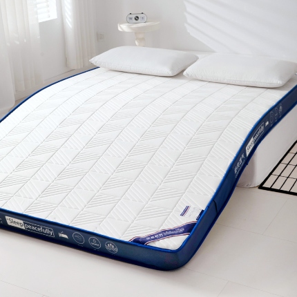 （总）MOA生态床垫 2025新款加厚海绵床垫卧室乳胶床垫学生宿舍记忆棉床垫